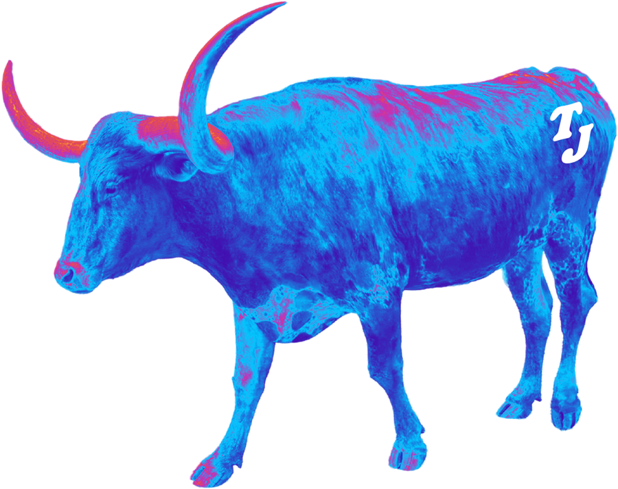 Turnberry Jam logo: a neon blue longhorn with a TJ brand
